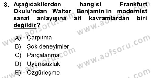 Eleştiri Kuramları Dersi 2018 - 2019 Yılı (Final) Dönem Sonu Sınav Soruları 8. Soru
