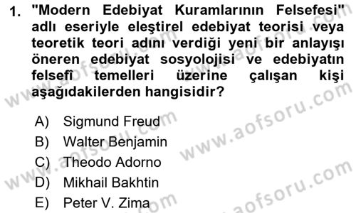 Eleştiri Kuramları Dersi 2018 - 2019 Yılı Yaz Okulu Sınav Soruları 1. Soru