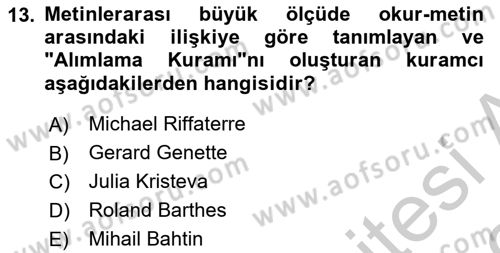 Eleştiri Kuramları Dersi 2018 - 2019 Yılı Yaz Okulu Sınav Soruları 13. Soru
