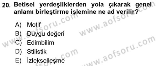 Eleştiri Kuramları Dersi 2018 - 2019 Yılı Yaz Okulu Sınav Soruları 20. Soru