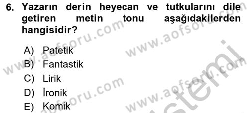 Eleştiri Kuramları Dersi 2018 - 2019 Yılı Yaz Okulu Sınav Soruları 6. Soru