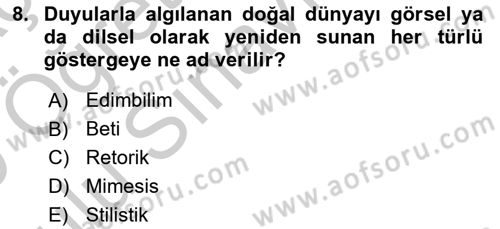 Eleştiri Kuramları Dersi 2018 - 2019 Yılı Yaz Okulu Sınav Soruları 8. Soru