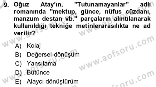 Eleştiri Kuramları Dersi 2018 - 2019 Yılı Yaz Okulu Sınav Soruları 9. Soru