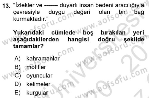 Eleştiri Kuramları Dersi 2020 - 2021 Yılı Yaz Okulu Sınav Soruları 13. Soru