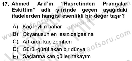 Eleştiri Kuramları Dersi 2020 - 2021 Yılı Yaz Okulu Sınav Soruları 17. Soru