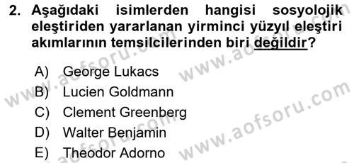Eleştiri Kuramları Dersi 2020 - 2021 Yılı Yaz Okulu Sınav Soruları 2. Soru