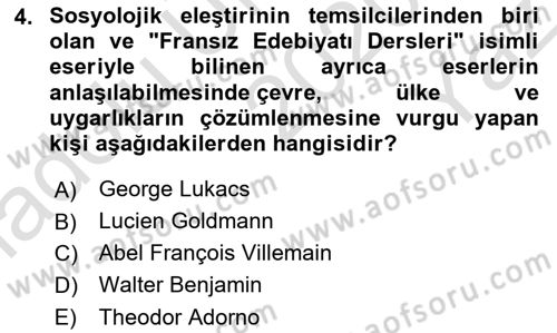 Eleştiri Kuramları Dersi 2020 - 2021 Yılı Yaz Okulu Sınav Soruları 4. Soru