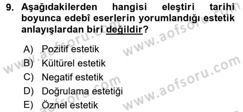 Eleştiri Kuramları Dersi 2020 - 2021 Yılı Yaz Okulu Sınav Soruları 9. Soru