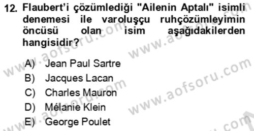 Eleştiri Kuramları Dersi 2021 - 2022 Yılı (Vize) Ara Sınav Soruları 12. Soru