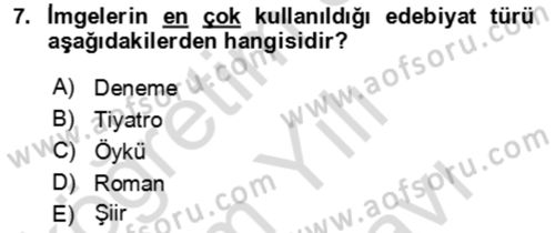 Eleştiri Kuramları Dersi 2021 - 2022 Yılı (Vize) Ara Sınav Soruları 7. Soru
