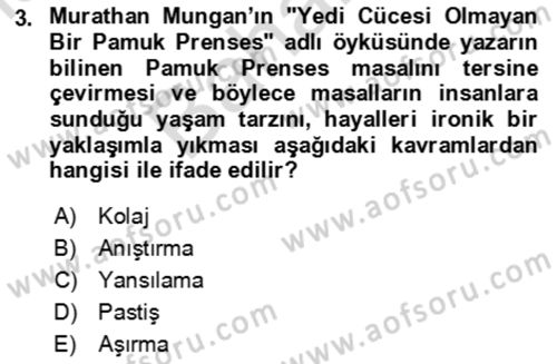 Eleştiri Kuramları Dersi 2021 - 2022 Yılı (Final) Dönem Sonu Sınav Soruları 3. Soru
