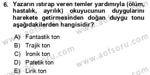 Eleştiri Kuramları Dersi 2021 - 2022 Yılı (Final) Dönem Sonu Sınav Soruları 6. Soru