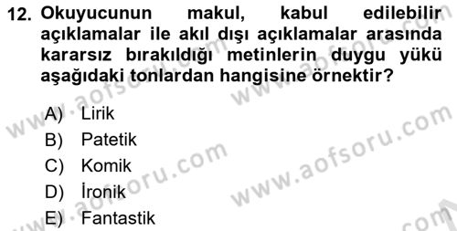 Eleştiri Kuramları Dersi 2021 - 2022 Yılı Yaz Okulu Sınav Soruları 12. Soru
