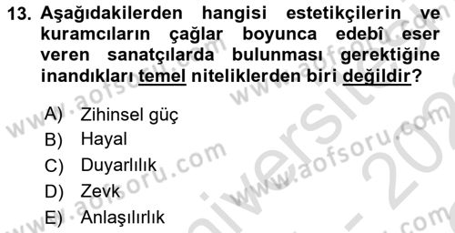 Eleştiri Kuramları Dersi 2021 - 2022 Yılı Yaz Okulu Sınav Soruları 13. Soru