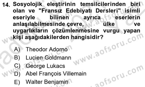 Eleştiri Kuramları Dersi 2021 - 2022 Yılı Yaz Okulu Sınav Soruları 14. Soru