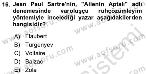 Eleştiri Kuramları Dersi 2021 - 2022 Yılı Yaz Okulu Sınav Soruları 16. Soru