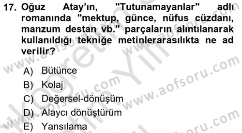 Eleştiri Kuramları Dersi 2021 - 2022 Yılı Yaz Okulu Sınav Soruları 17. Soru