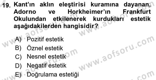 Eleştiri Kuramları Dersi 2021 - 2022 Yılı Yaz Okulu Sınav Soruları 19. Soru
