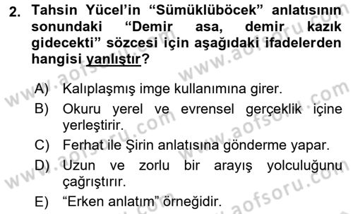 Eleştiri Kuramları Dersi 2021 - 2022 Yılı Yaz Okulu Sınav Soruları 2. Soru