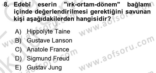 Eleştiri Kuramları Dersi 2021 - 2022 Yılı Yaz Okulu Sınav Soruları 8. Soru