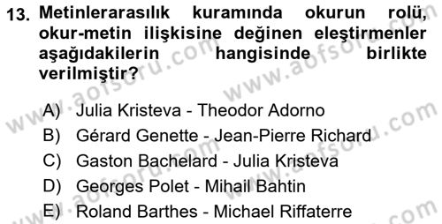 Eleştiri Kuramları Dersi 2022 - 2023 Yılı Yaz Okulu Sınav Soruları 13. Soru
