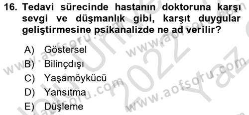 Eleştiri Kuramları Dersi 2022 - 2023 Yılı Yaz Okulu Sınav Soruları 16. Soru