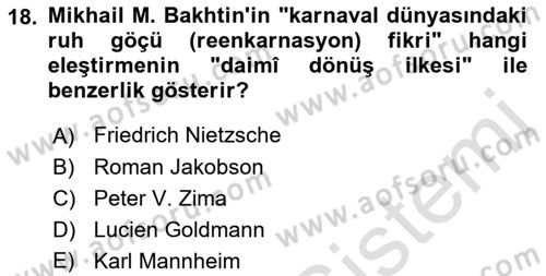 Eleştiri Kuramları Dersi 2022 - 2023 Yılı Yaz Okulu Sınav Soruları 18. Soru