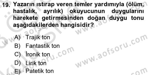 Eleştiri Kuramları Dersi 2022 - 2023 Yılı Yaz Okulu Sınav Soruları 19. Soru