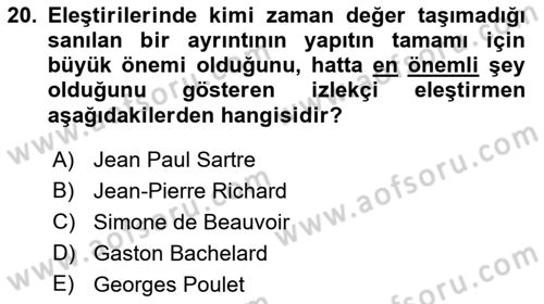 Eleştiri Kuramları Dersi 2022 - 2023 Yılı Yaz Okulu Sınav Soruları 20. Soru