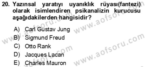 Eleştiri Kuramları Dersi 2023 - 2024 Yılı (Vize) Ara Sınav Soruları 20. Soru