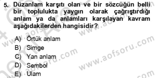 Eleştiri Kuramları Dersi 2023 - 2024 Yılı (Vize) Ara Sınav Soruları 5. Soru