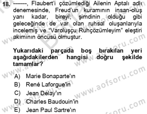 Eleştiri Kuramları Dersi 2023 - 2024 Yılı (Final) Dönem Sonu Sınav Soruları 18. Soru