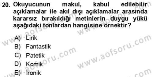 Eleştiri Kuramları Dersi 2023 - 2024 Yılı (Final) Dönem Sonu Sınav Soruları 20. Soru