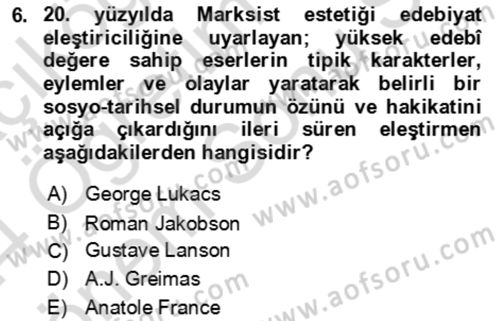Eleştiri Kuramları Dersi 2023 - 2024 Yılı (Final) Dönem Sonu Sınav Soruları 6. Soru