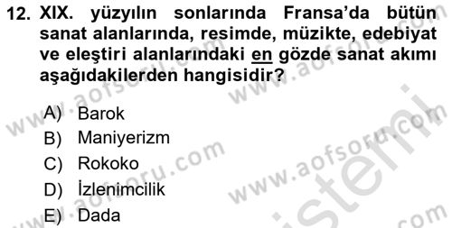 Eleştiri Kuramları Dersi 2023 - 2024 Yılı Yaz Okulu Sınav Soruları 12. Soru