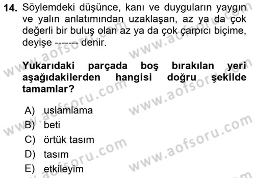 Eleştiri Kuramları Dersi 2023 - 2024 Yılı Yaz Okulu Sınav Soruları 14. Soru