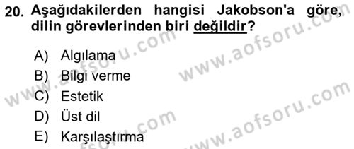 Eleştiri Kuramları Dersi 2023 - 2024 Yılı Yaz Okulu Sınav Soruları 20. Soru
