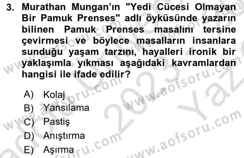 Eleştiri Kuramları Dersi 2023 - 2024 Yılı Yaz Okulu Sınav Soruları 3. Soru