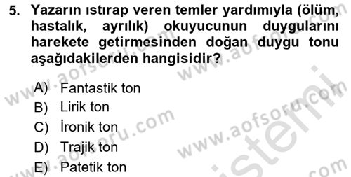 Eleştiri Kuramları Dersi 2023 - 2024 Yılı Yaz Okulu Sınav Soruları 5. Soru
