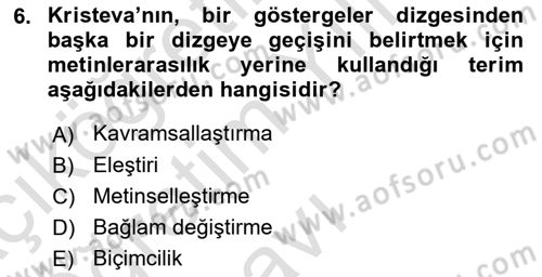 Eleştiri Kuramları Dersi 2023 - 2024 Yılı Yaz Okulu Sınav Soruları 6. Soru