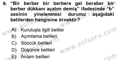 Eleştiri Kuramları Dersi 2023 - 2024 Yılı Yaz Okulu Sınav Soruları 9. Soru