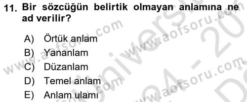 Eleştiri Kuramları Dersi 2024 - 2025 Yılı (Vize) Ara Sınav Soruları 11. Soru
