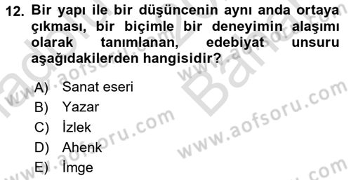 Eleştiri Kuramları Dersi 2024 - 2025 Yılı (Vize) Ara Sınav Soruları 12. Soru
