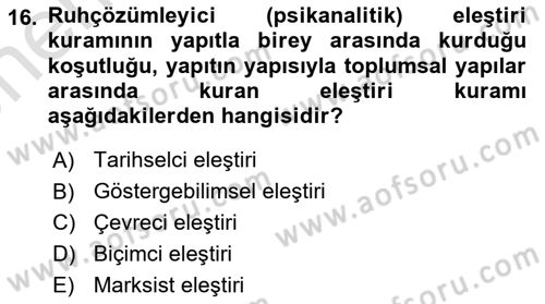 Eleştiri Kuramları Dersi 2024 - 2025 Yılı (Vize) Ara Sınav Soruları 16. Soru