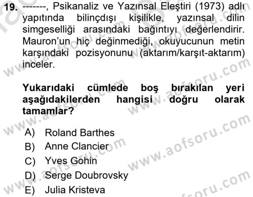 Eleştiri Kuramları Dersi 2024 - 2025 Yılı (Vize) Ara Sınav Soruları 19. Soru