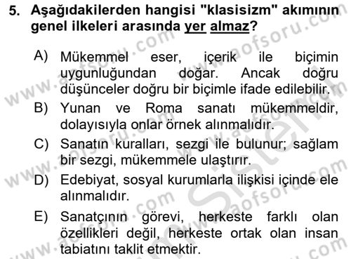Eleştiri Kuramları Dersi 2024 - 2025 Yılı (Vize) Ara Sınav Soruları 5. Soru
