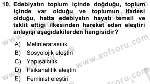 Eleştiri Kuramları Dersi 2024 - 2025 Yılı (Final) Dönem Sonu Sınav Soruları 10. Soru