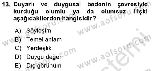 Eleştiri Kuramları Dersi 2024 - 2025 Yılı (Final) Dönem Sonu Sınav Soruları 13. Soru