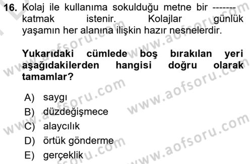 Eleştiri Kuramları Dersi 2024 - 2025 Yılı (Final) Dönem Sonu Sınav Soruları 16. Soru