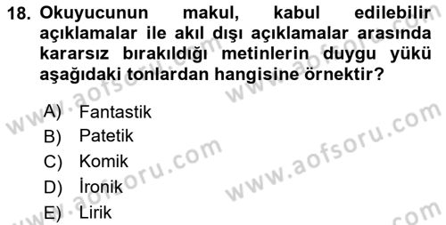 Eleştiri Kuramları Dersi 2024 - 2025 Yılı (Final) Dönem Sonu Sınav Soruları 18. Soru